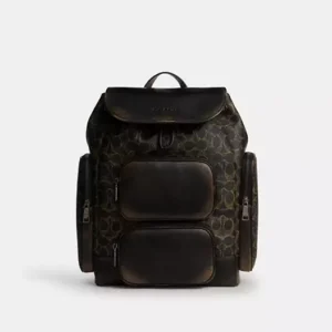 Finn Backpack In Loved Signature Canvas